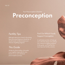 Preconception Checklist holisticher pregnancy and fertility